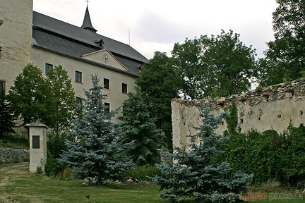 Burg Kranichberg (20060722 0010)